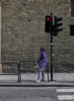 Viola di Firenze Viola di Firenze
