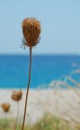 Mediterraneo Mediterraneo