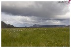 Iceland Iceland