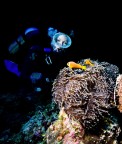 Maldive - sguardi.. Maldive - sguardi..