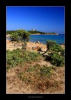 Colori di Sardegna Colori di Sardegna