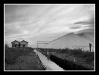 ...ALLA VECCHIA SALINA... ...ALLA VECCHIA SALINA...
