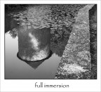 full immersion full immersion