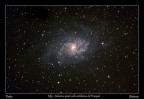 M33