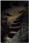 steps steps