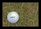 On the Green! On the Green!