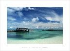 Maldive