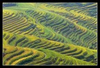 Longsheng Longsheng