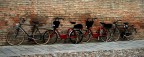 octociclo a ferrara octociclo a ferrara
