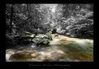 Torrente_mixed Torrente_mixed