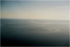 silenzio silenzio