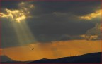 al tramonto... al tramonto...