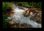 Torrente_color Torrente_color