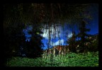 Riflessi