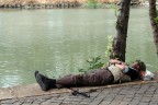Passeggiando lungo il tevere mi sono imbattuto in questo accanito... dormiglione :)

Ringrazio belgarath che mi ha fatto notare che avevo postato una foto ridotta ai minimi termini e larossadiKlimt. 
Non sono riuscito a sostituire l'immagine se non eliminando la precedente e ripostandola.