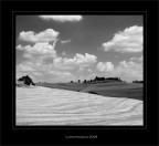 Semplicemente.. Toscana