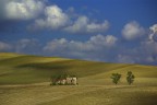 rural rural