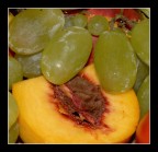 Frutta Frutta