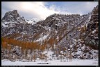 Prima Neve Prima Neve