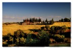 Terre Trasimene 8 Terre Trasimene 8