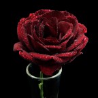 banale ma semre divertente da realizzare