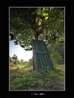 fantasy door fantasy door