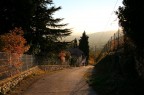 un viale verso il tramonto, a Valdobbiadene