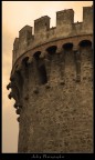The Tower The Tower