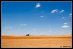 La terra di Don Quixote La terra di Don Quixote