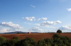 Terre di Siena Terre di Siena