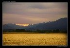 Tramonto sulla campagna Tramonto sulla campagna