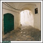 devoZione