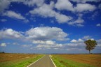 la strada la strada