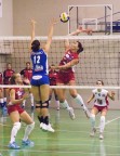 Volley B2 Femminile Bentley vs Ford sara Volley B2 Femminile Bentley vs Ford sara