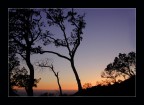 silhouette silhouette