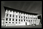Pisa Pisa