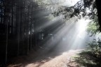 LUCE DEL MATTINO LUCE DEL MATTINO
