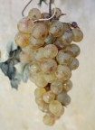 Da qui...il vino Da qui...il vino