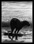 Spiaggia di autunno... Spiaggia di autunno...