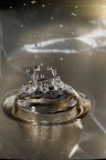 Sculture d'acqua Sculture d'acqua