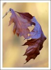 Autunno Autunno