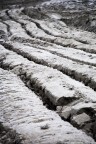 Linee di sabbia Linee di sabbia
