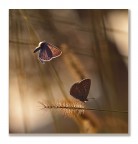 Breathe, breathe in the air...