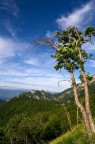 apuane apuane