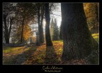 Colori d'Autunno Colori d'Autunno