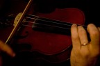 come corde di violino come corde di violino