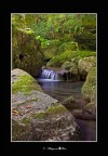 paradise water paradise water