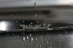 splash splash