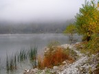 Colori Colori