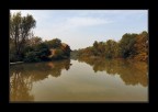 Autunno a Punte Alberete Autunno a Punte Alberete
